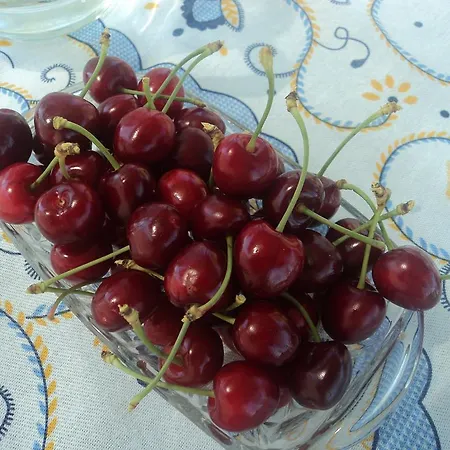 Casa Da Gardunha Casa vacanze